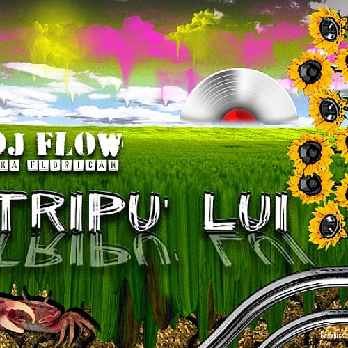 DJ Flow - Tripu' lui